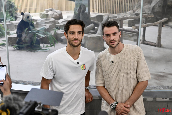 心指导下 心指导下